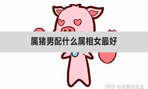 属猪男受女生青睐的程度-属猪男最珍惜哪种