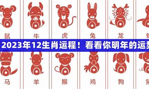 十二生肖运势2023年运程免费-12生肖