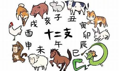 亥猪和寅虎的良辰吉日是哪天2025_亥猪