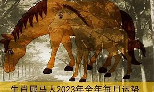 78年的马今年财运_78年属马人今年财运