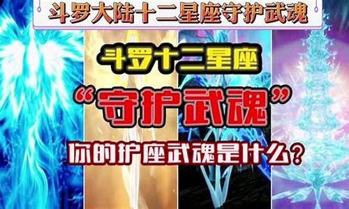 12星座的武魂_十二星座的武魂器武魂和兽武魂