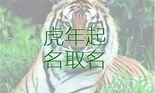 属虎的宝宝取什么名字好听_属虎宝宝取名宜忌是什么