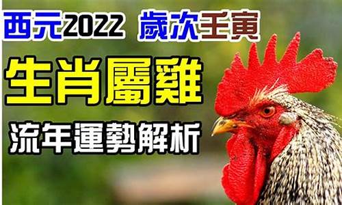 酉鸡2022年运势如何_酉鸡年酉时出生命运