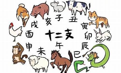 亥猪和戌狗的关系是什么呢_亥猪和戌狗的关系是什么