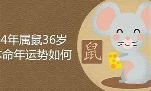 84年属鼠的什么命的人_84年属鼠是啥命