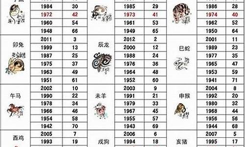 49年属什么生肖的_49年属什么生肖属相最合财呢