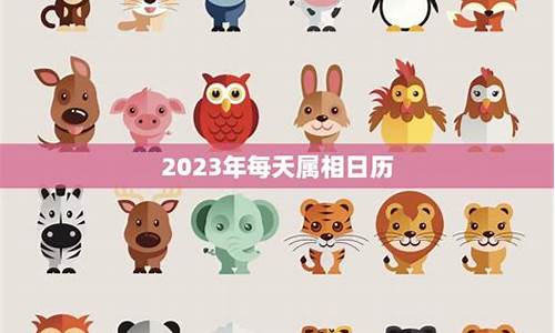 2023年属人的全年运势_2023年属相运势好吗