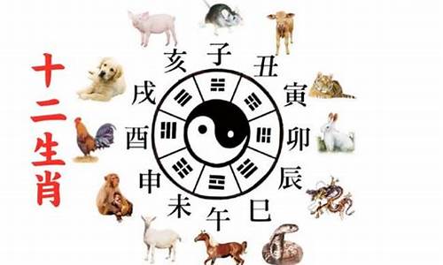 午马酉鸡相克表-午马 酉鸡